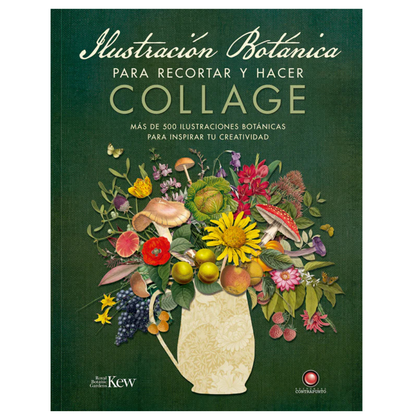 Ilustración botánica para recortar y hacer collage