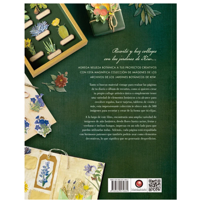 Ilustración botánica para recortar y hacer collage