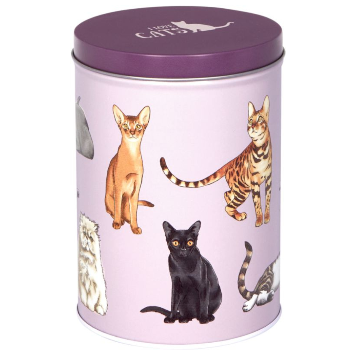 Contenedor Deco Cats