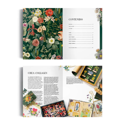 Ilustración botánica para recortar y hacer collage