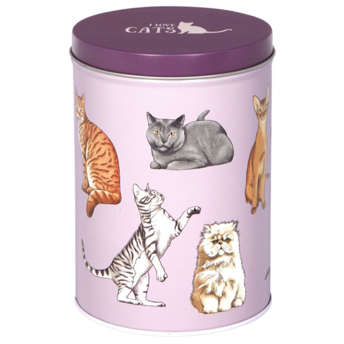 Contenedor Deco Cats