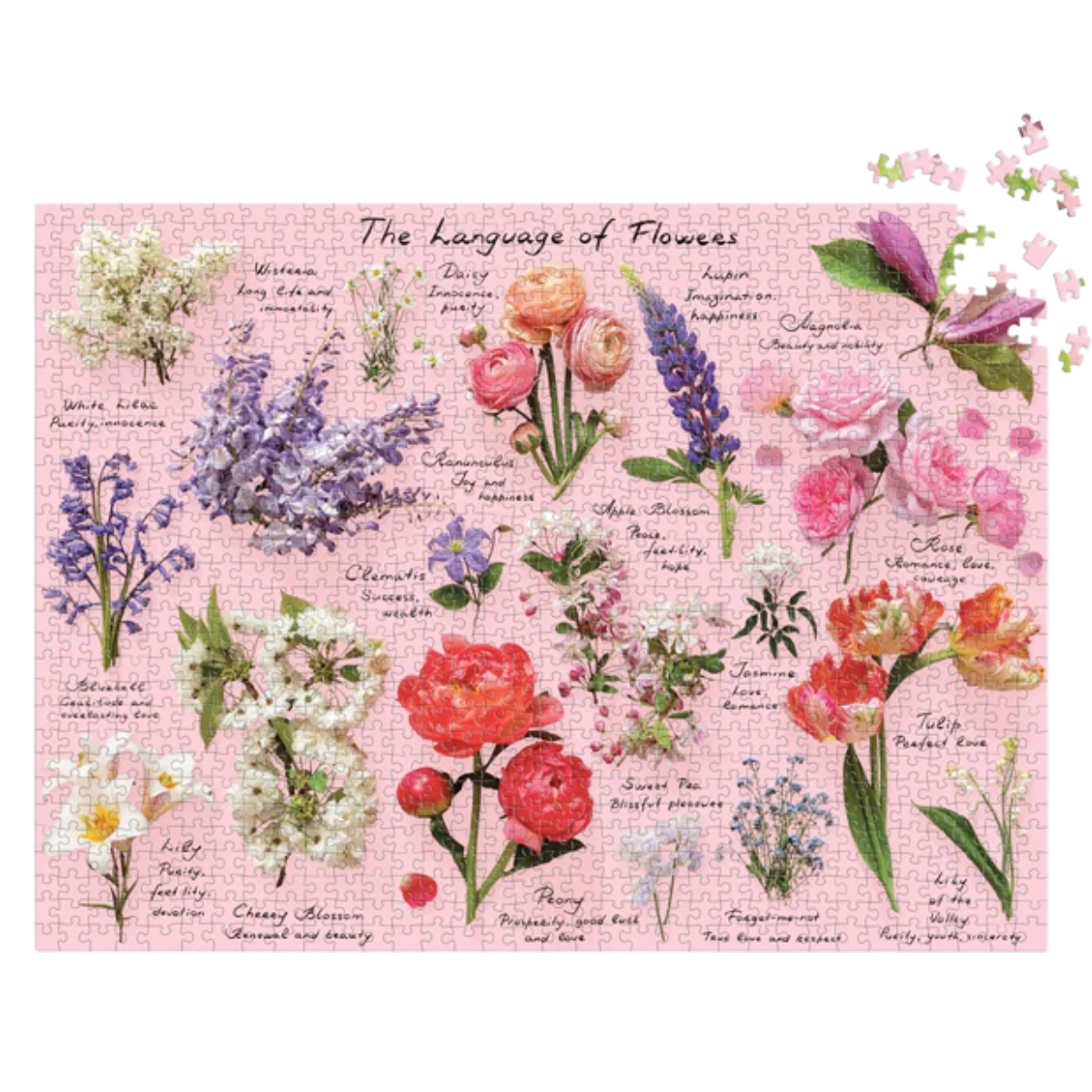 Puzzle : Language of flowers