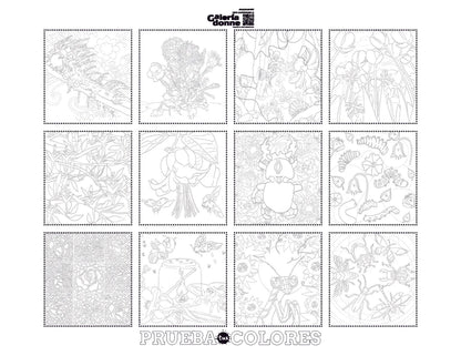 Libro para colorear  Florum
