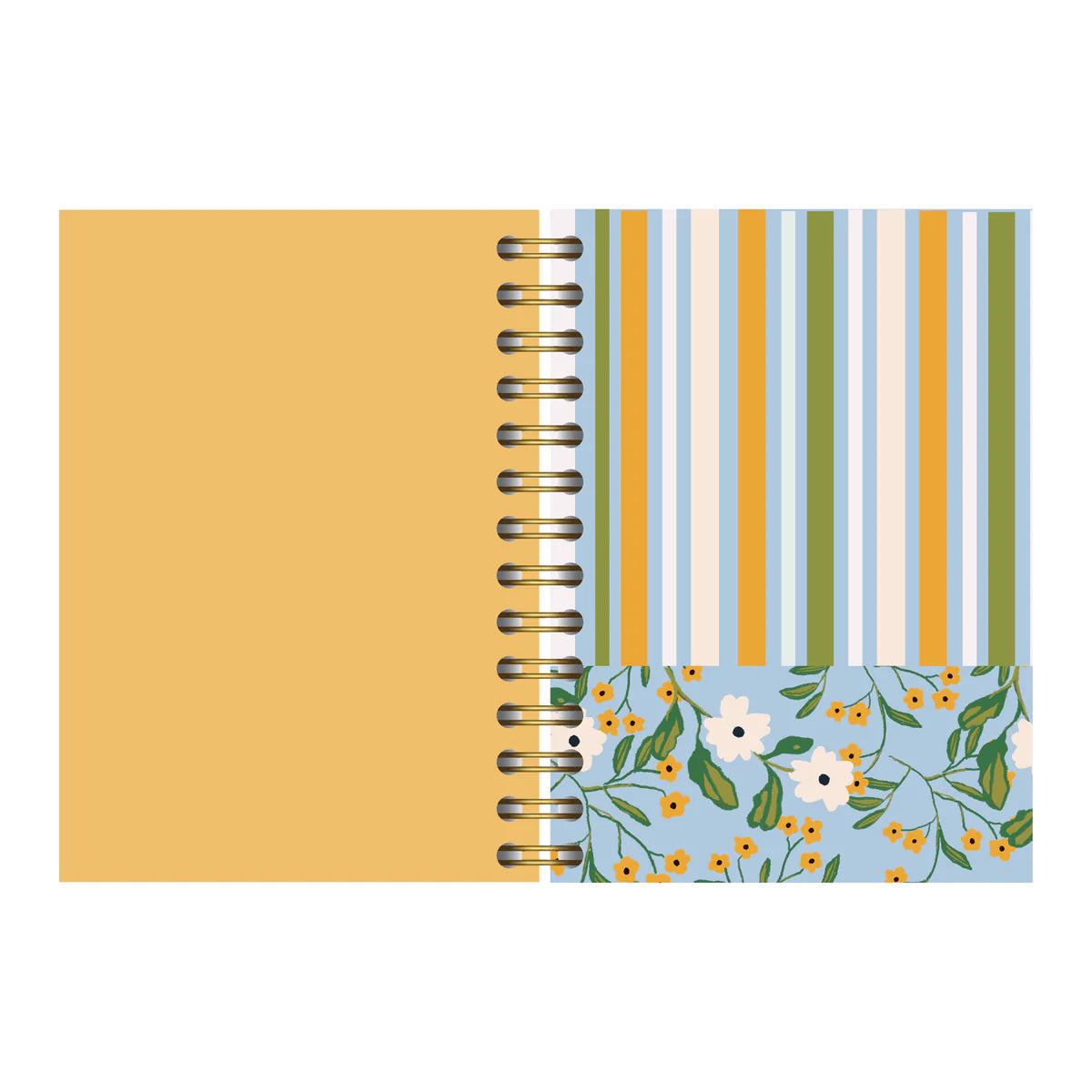 Agenda María