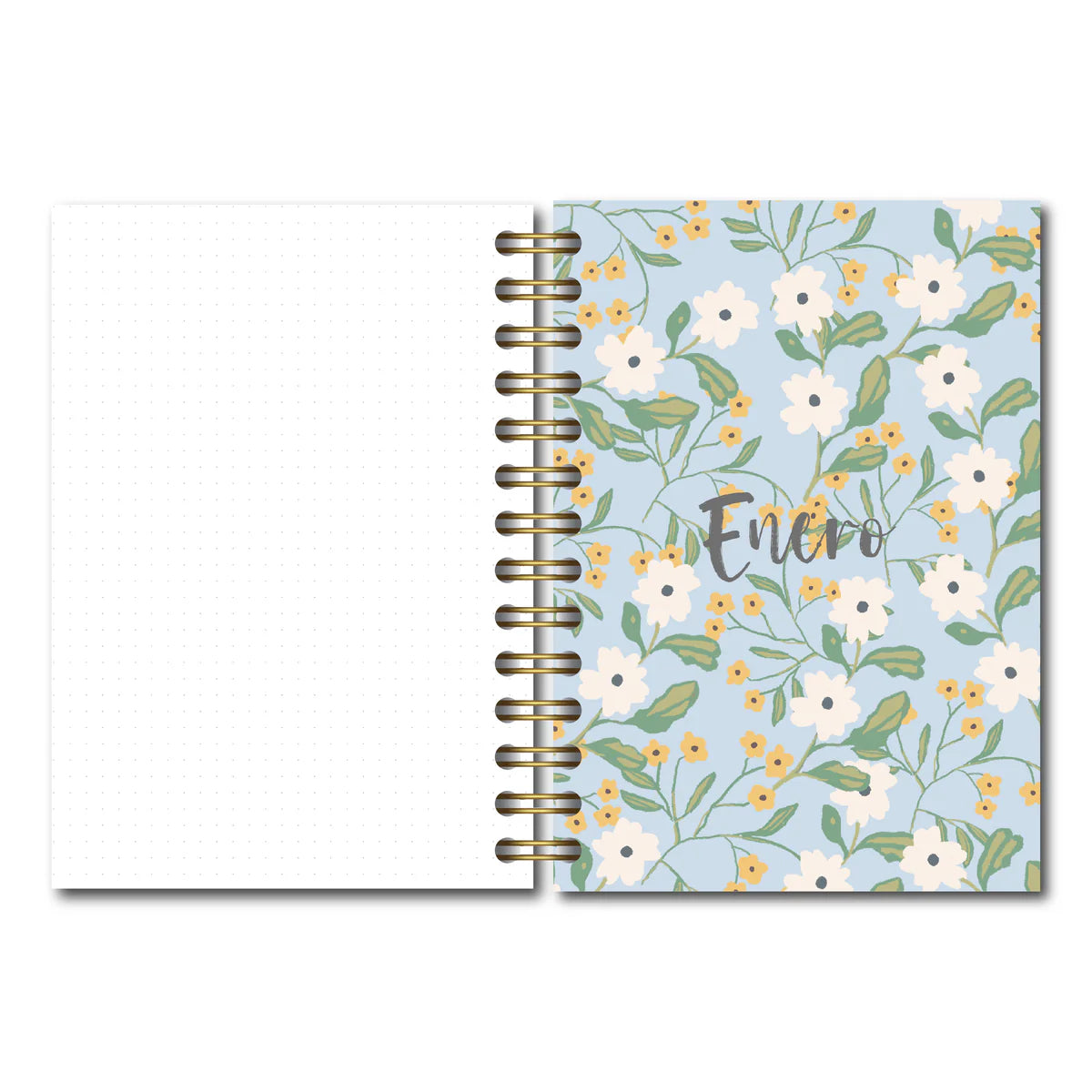 Agenda María