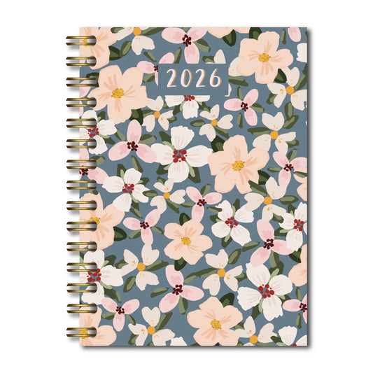 Agenda Blanca