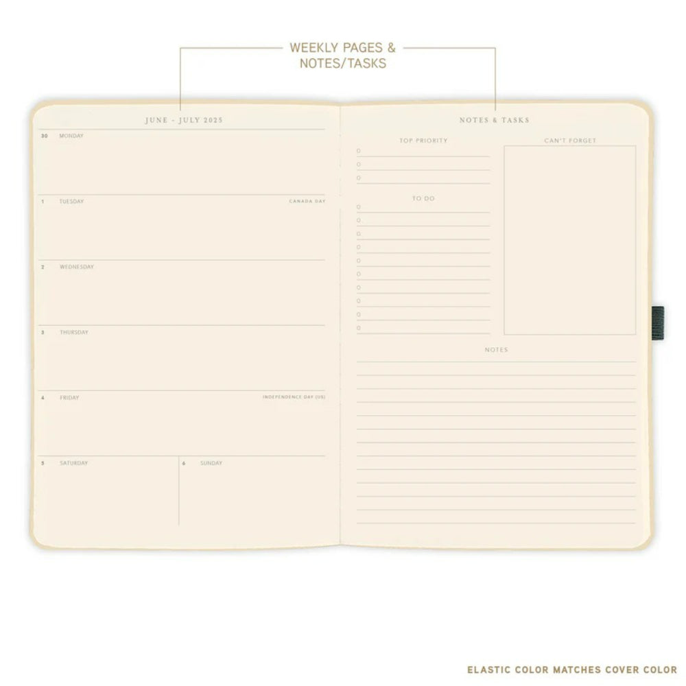 Agenda 2026 Apollo Azul A4 18 Meses