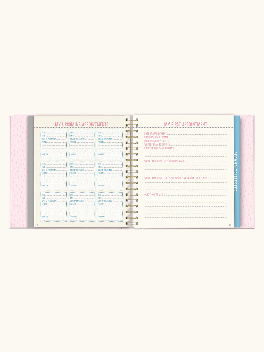 Diario del embarazo Rosa