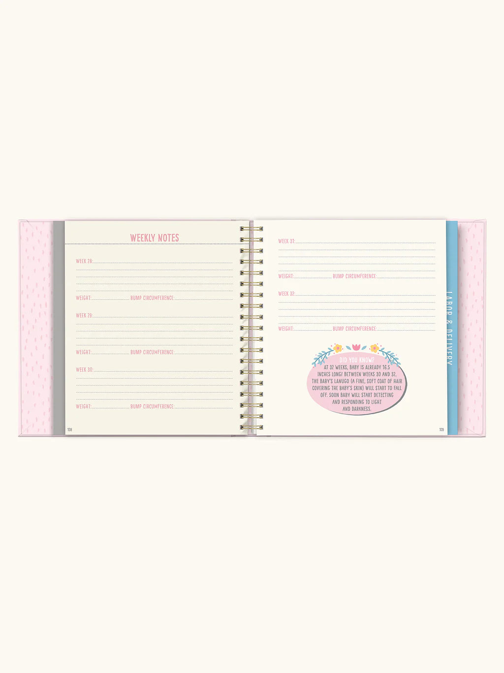 Diario del embarazo Rosa