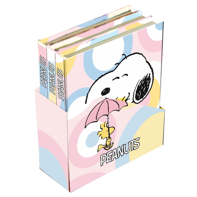 Set de Mini Cuadernos con Caja – Snoopy Pastel