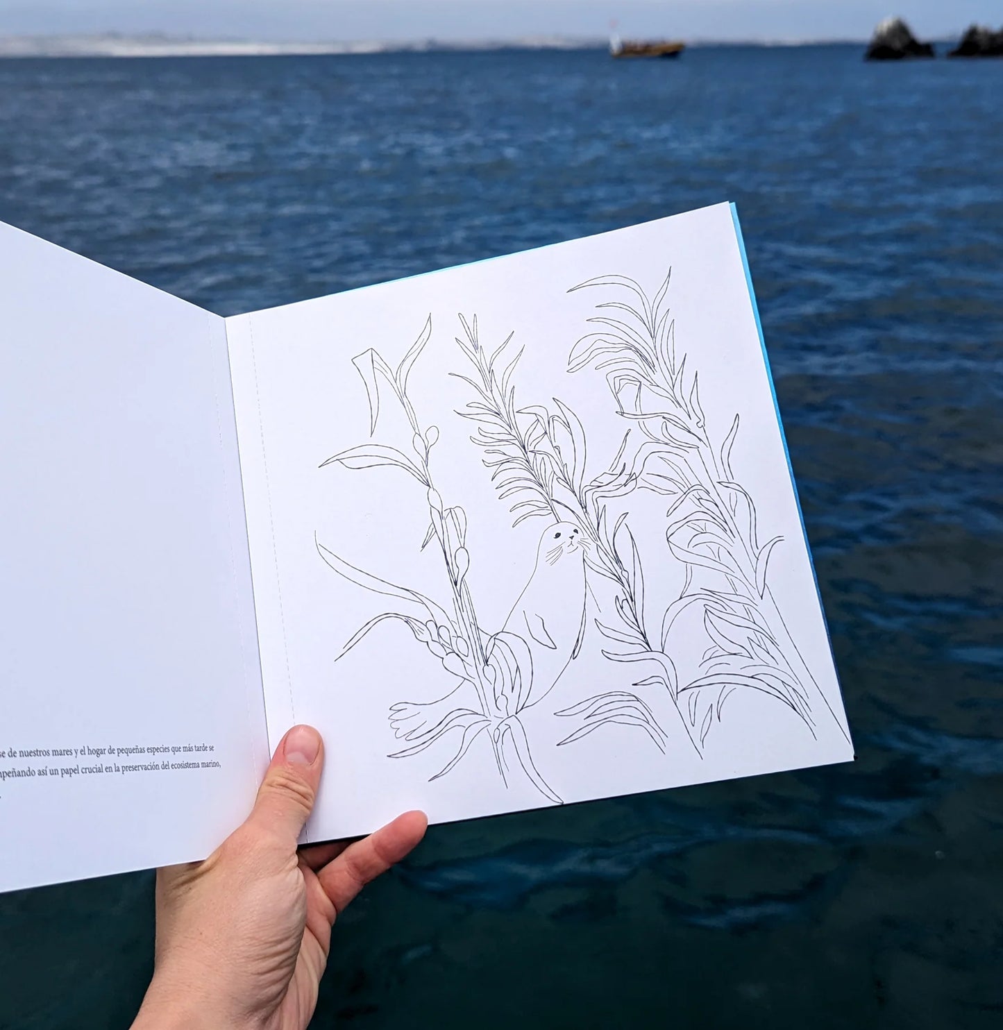 Libro para colorear: Mar de Color - Verónica Bázan