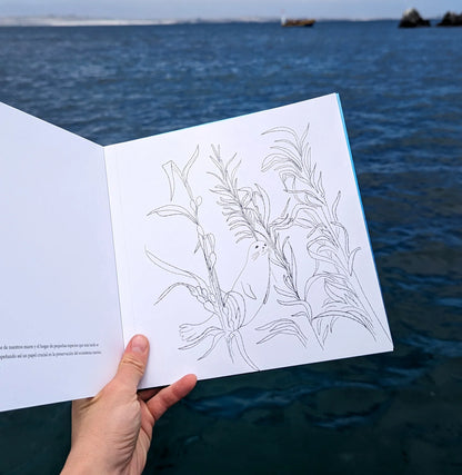 Libro para colorear: Mar de Color - Verónica Bázan