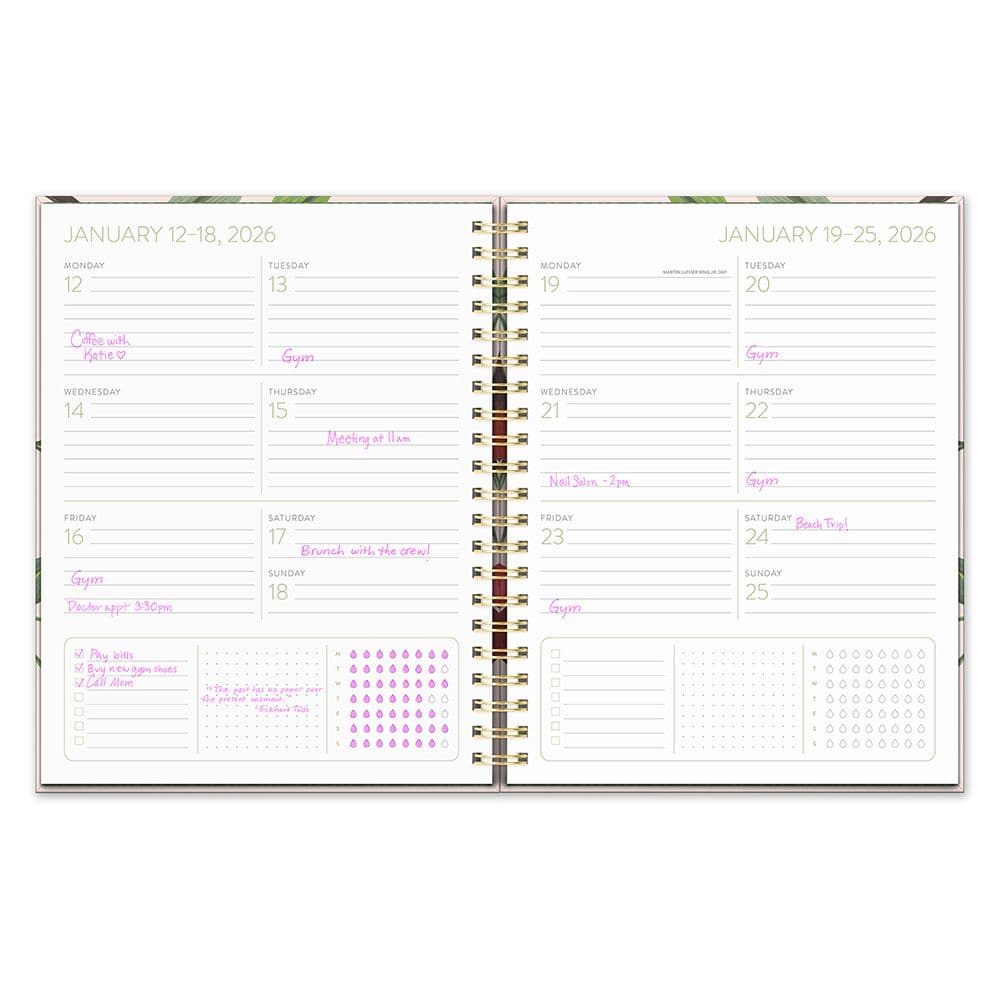 Agenda 2026 Fruit and Flora 17 Meses