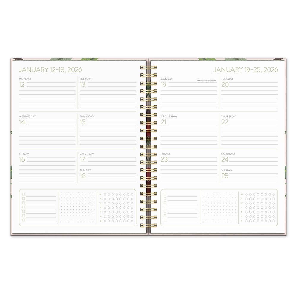 Agenda 2026 Fruit and Flora 17 Meses