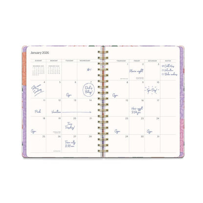 Agenda 2026 Secret Garden 17 Meses