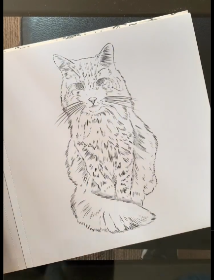Libro para colorear: Gatos - Cata Fuenzalida.