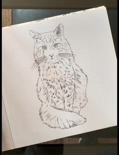 Libro para colorear: Gatos - Cata Fuenzalida.