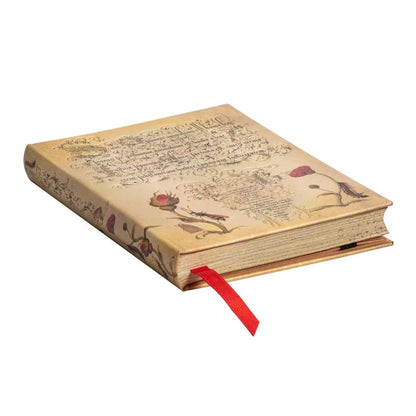 Libreta Mini Tapa Dura - Mira Botánica Rosa Flamenca
