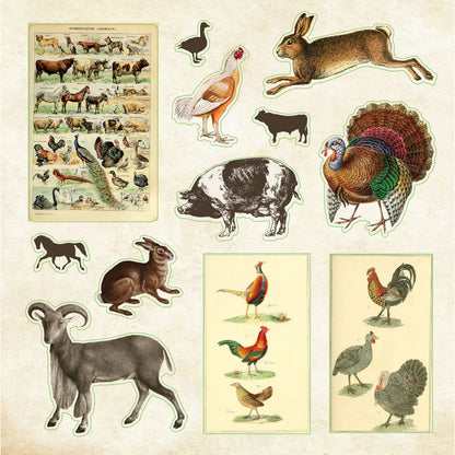 Libro de Stickers Zoológico Ephemera