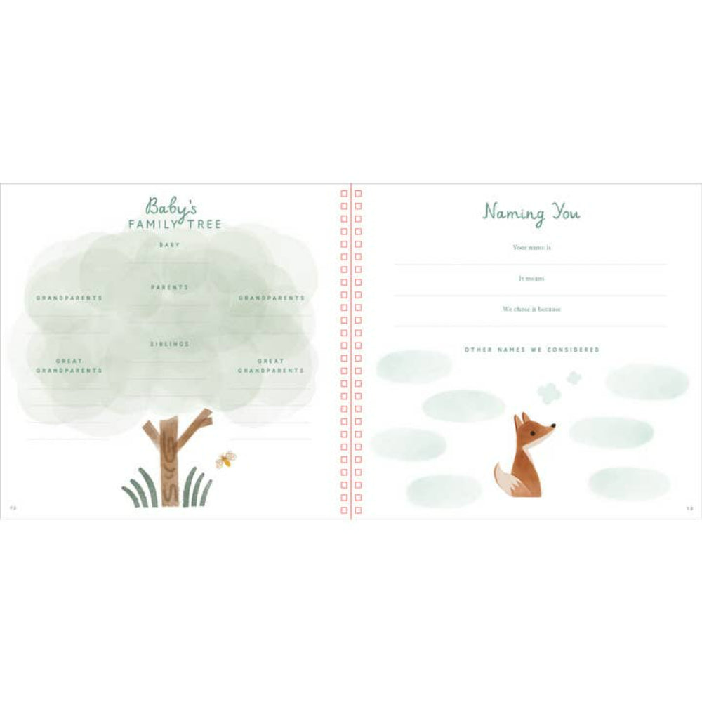 Libro de Bebé - Primeros años del bebé