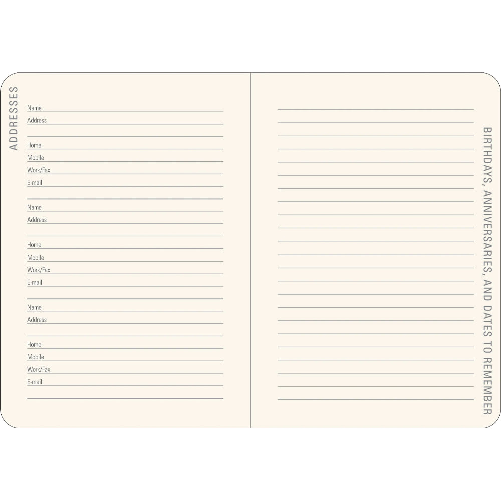 Agenda 2026 Reflections 16 Meses