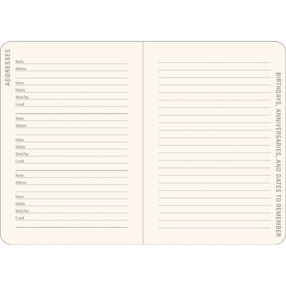 Agenda 2026 Reflections 16 Meses