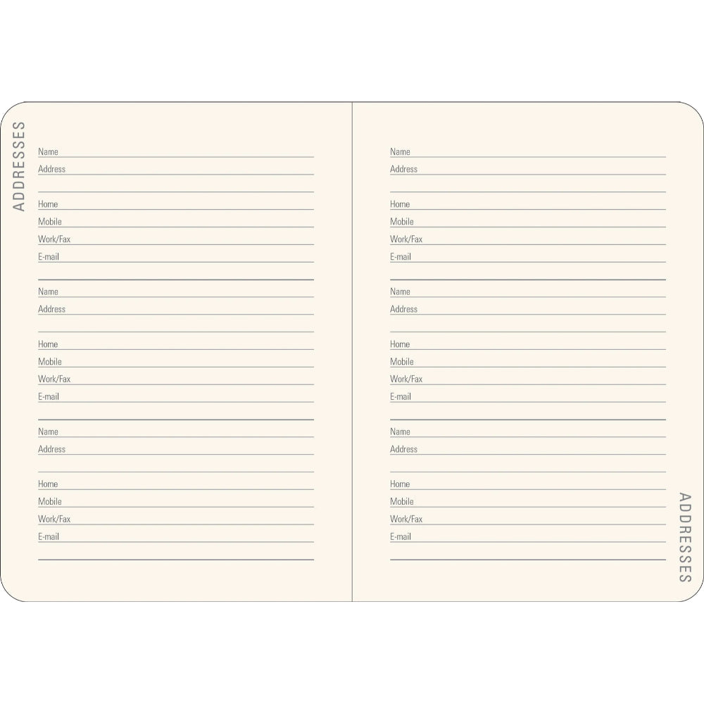 Agenda 2026 Reflections 16 Meses