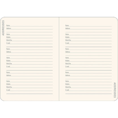 Agenda 2026 Reflections 16 Meses