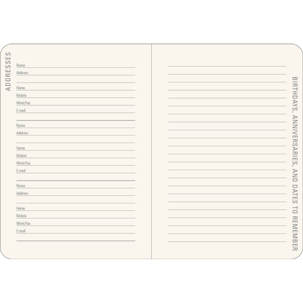 Agenda 2026 Sunflower Dreams 16 Meses