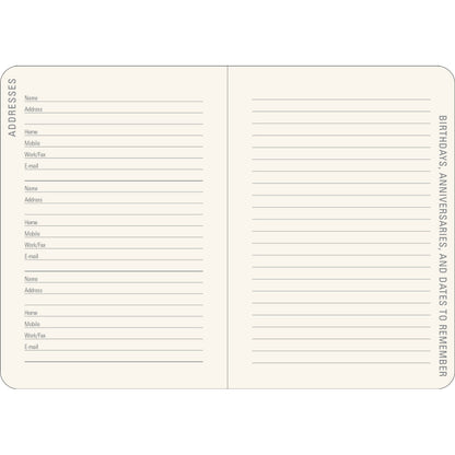 Agenda 2026 Sunflower Dreams 16 Meses