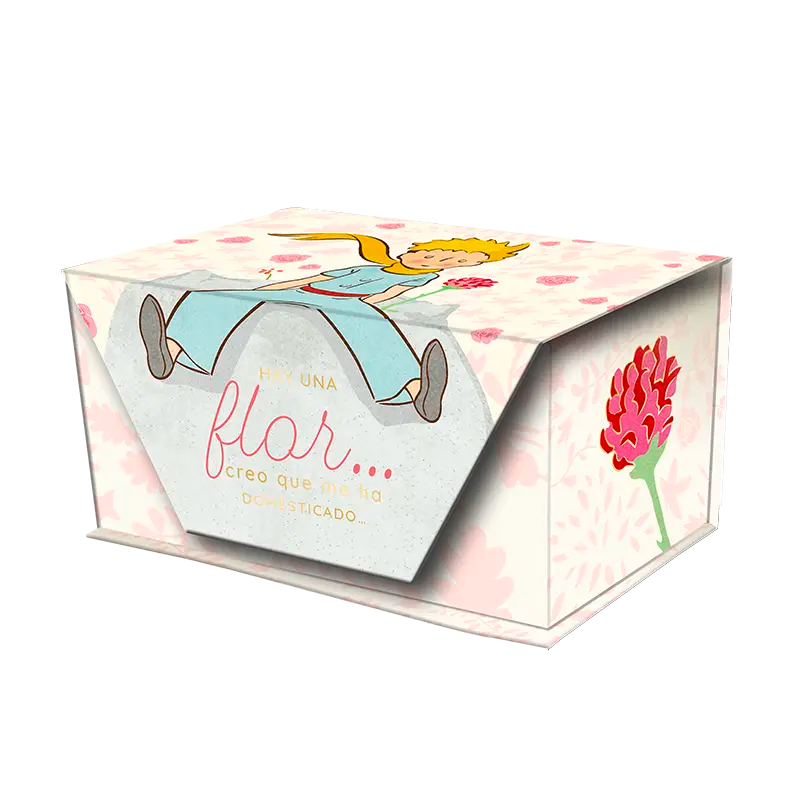Caja de Notas con Cierre Magnético – El Principito