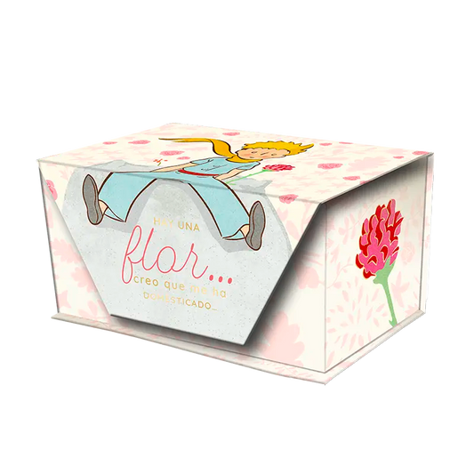 Caja de Notas con Cierre Magnético – El Principito
