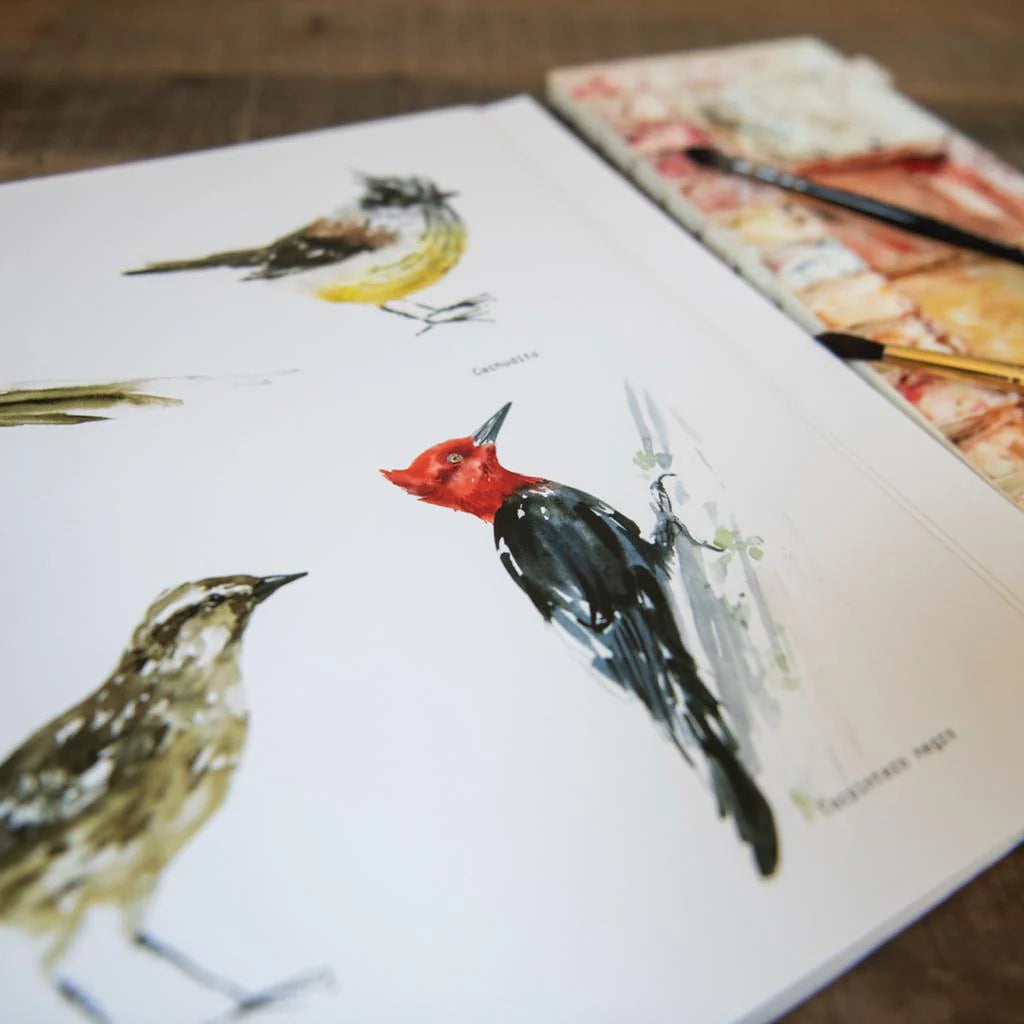Libro para colorear Aves de Chile