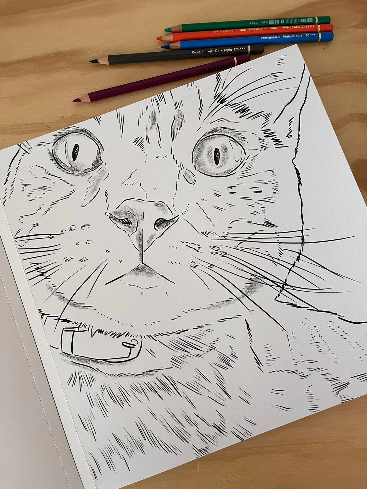 Libro para colorear: Gatos - Cata Fuenzalida.