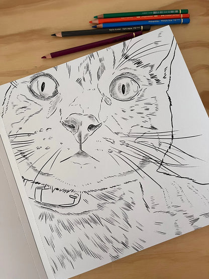 Libro para colorear: Gatos - Cata Fuenzalida.