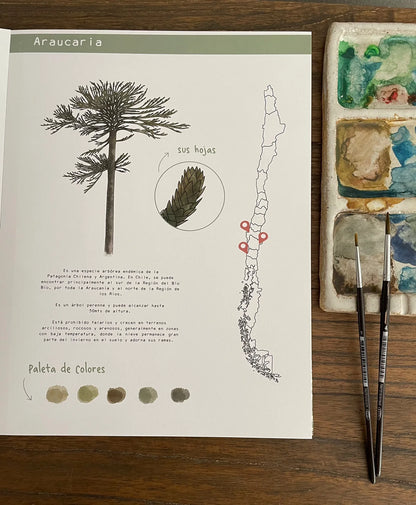 Libro Fauna y Flora por Vicky Aguirre