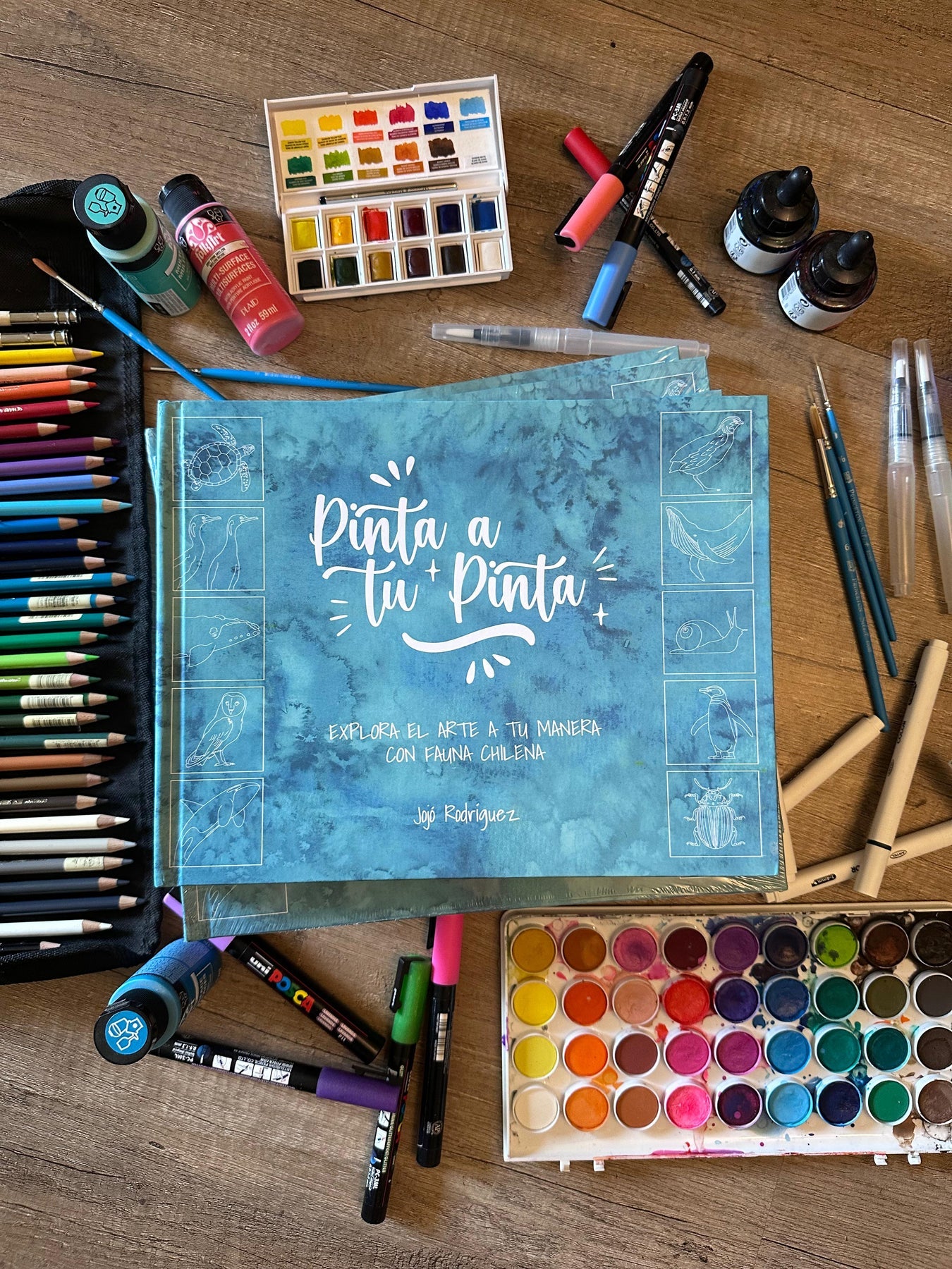 Libro para colorear  Pinta a tu Pinta