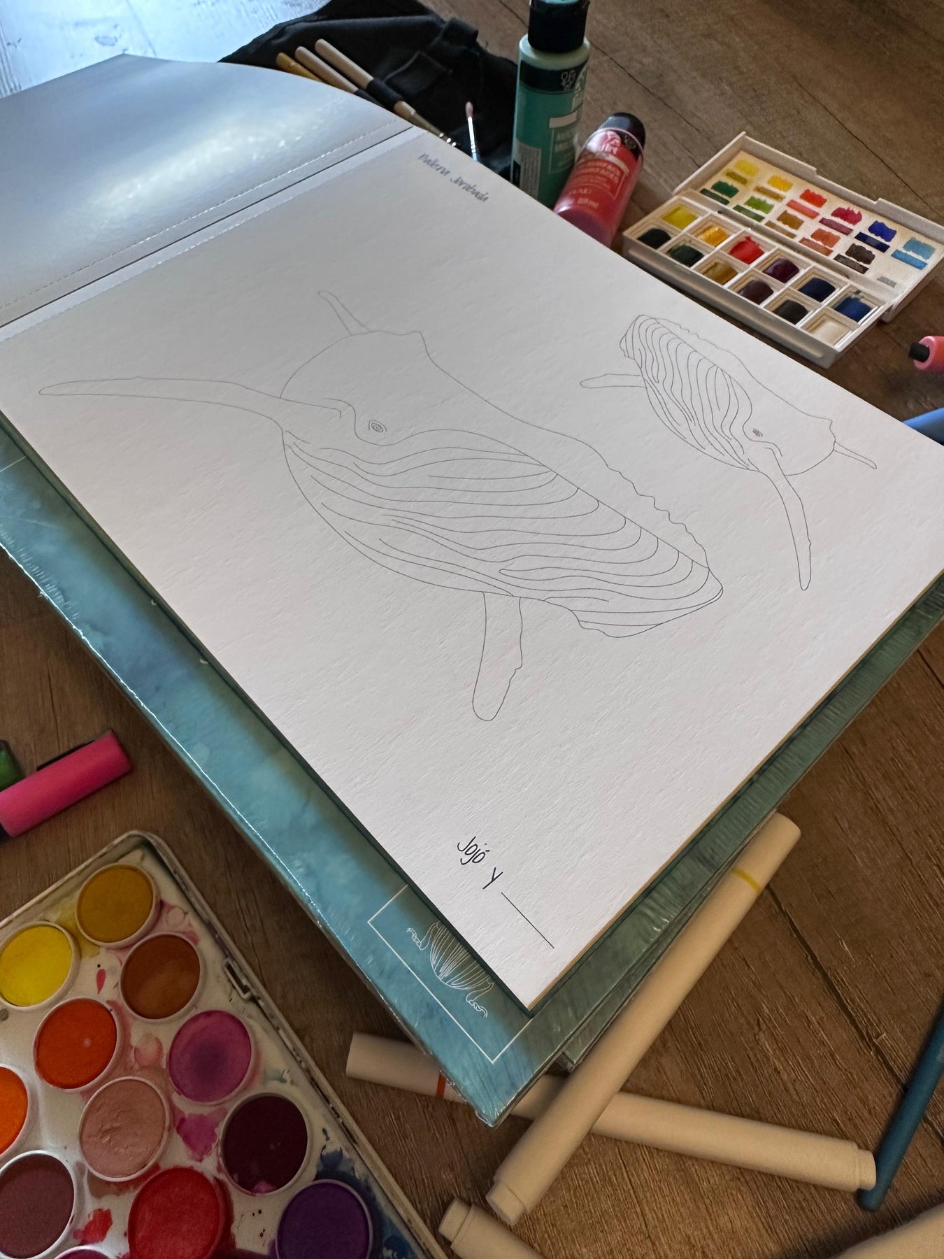 Libro para colorear  Pinta a tu Pinta