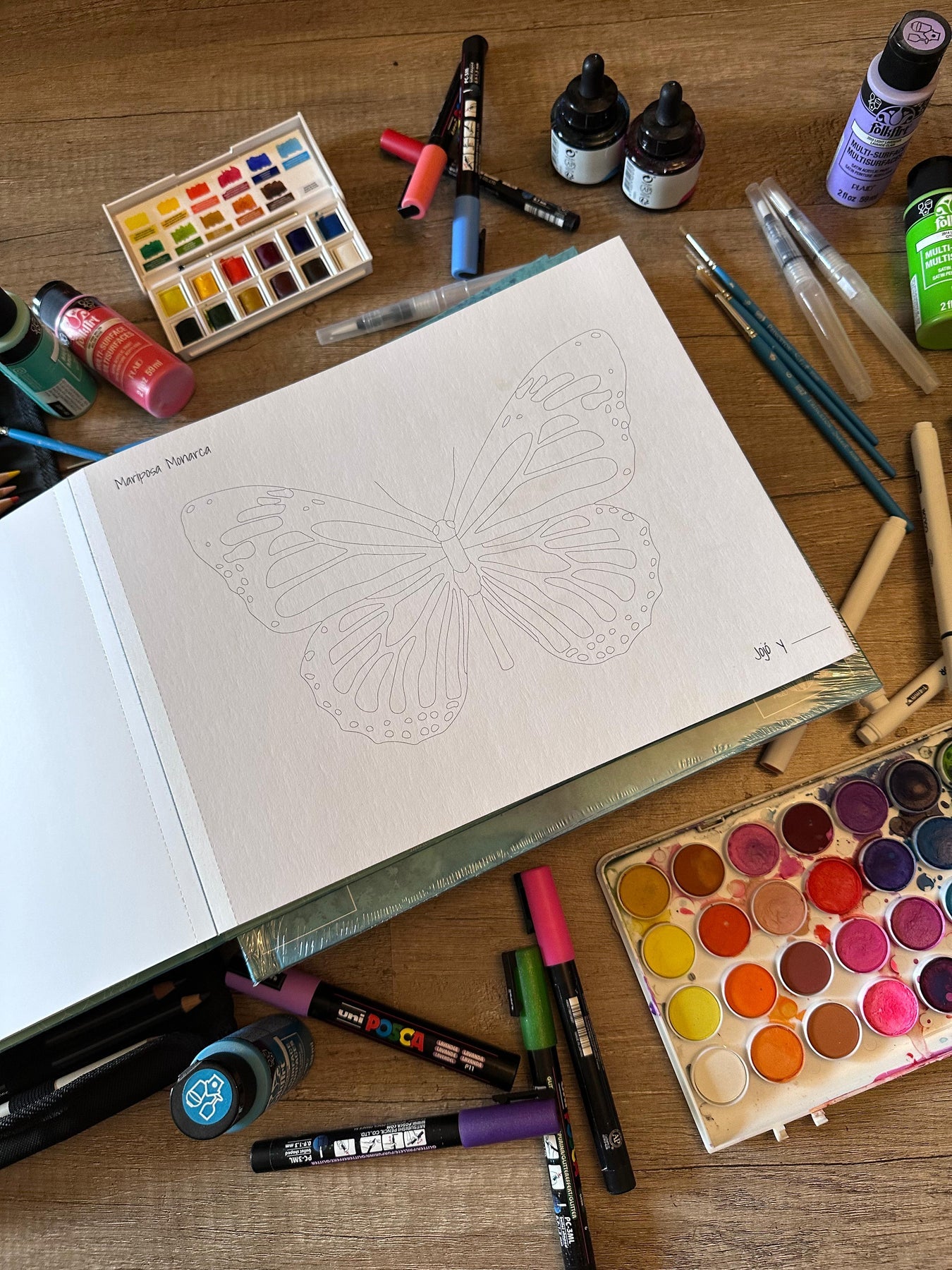 Libro para colorear  Pinta a tu Pinta