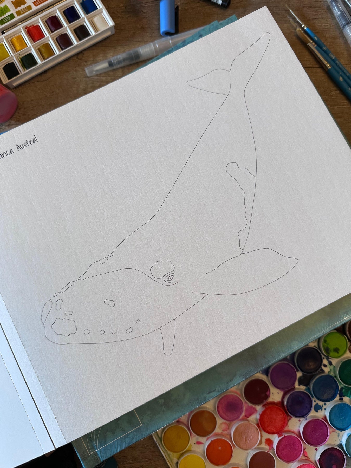 Libro para colorear  Pinta a tu Pinta