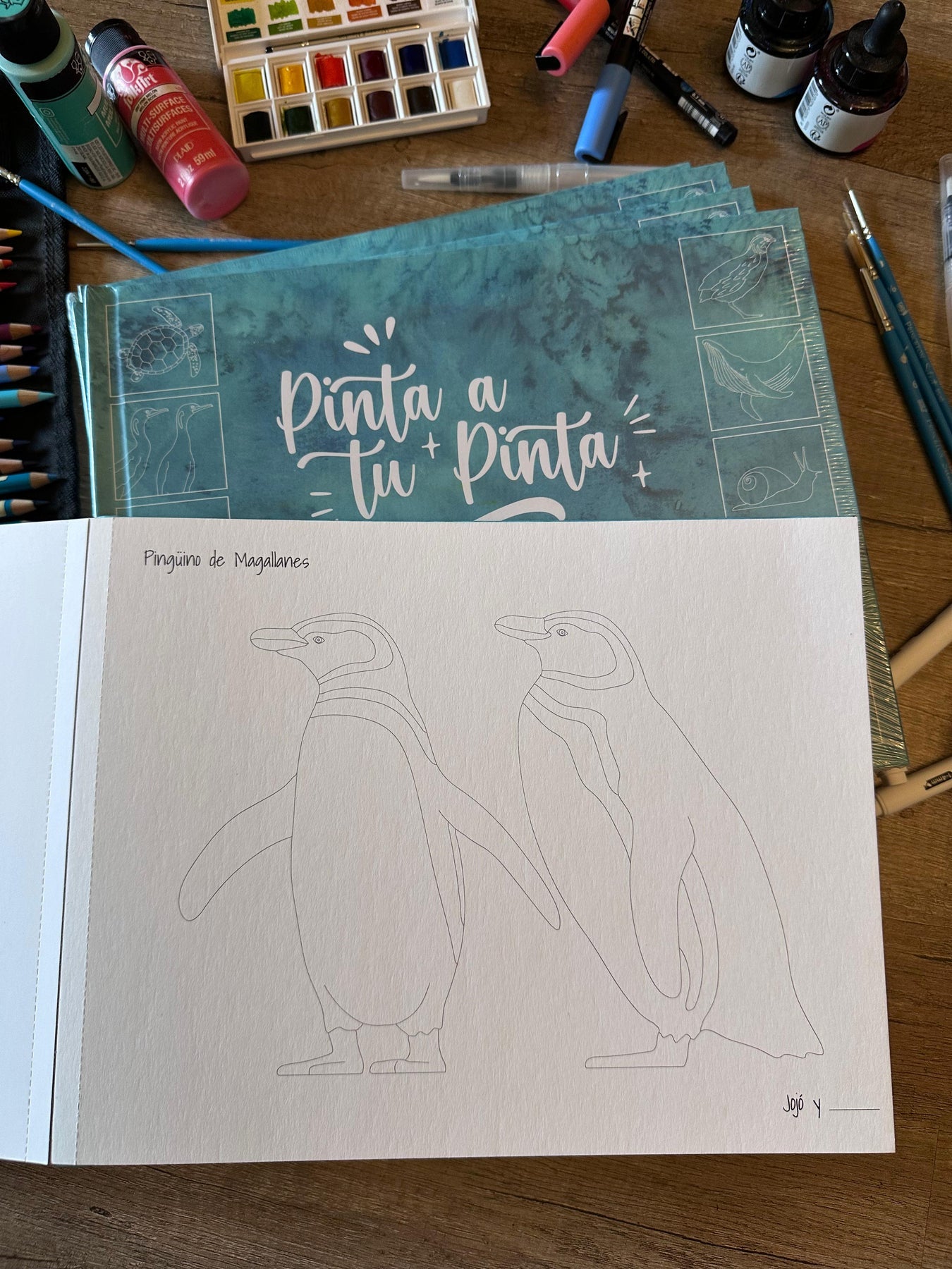 Libro para colorear  Pinta a tu Pinta