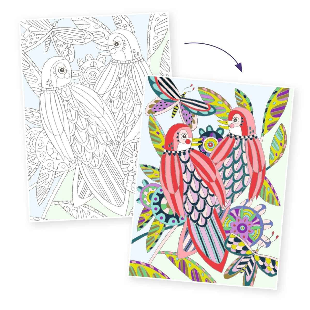 Posters con Dibujos para colorear Pájaros