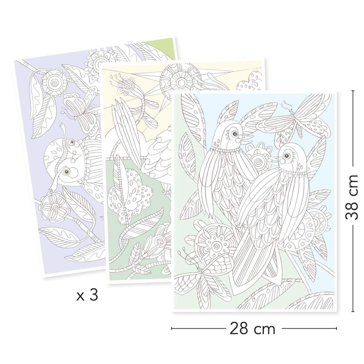 Posters con Dibujos para colorear Pájaros
