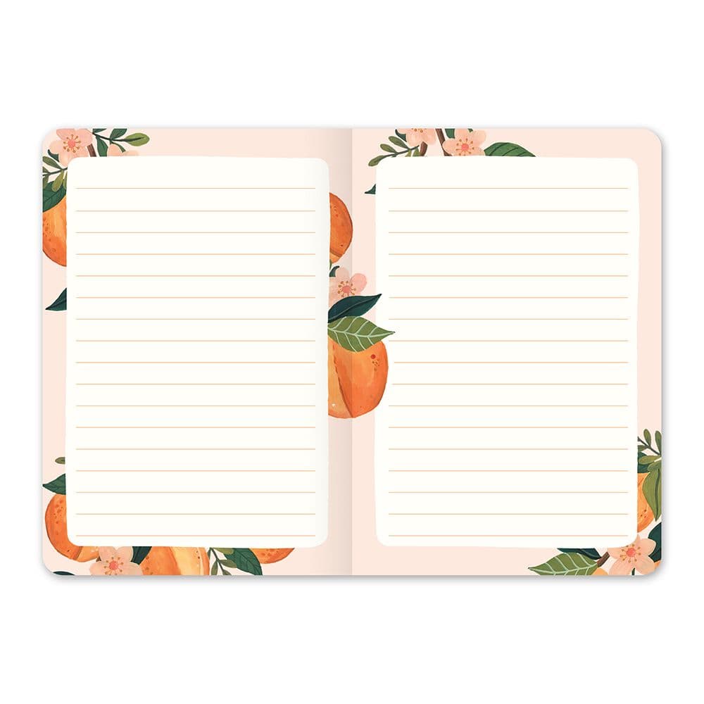 Agenda 2026 Fruit and Flora 17 Meses - Vista Mensual