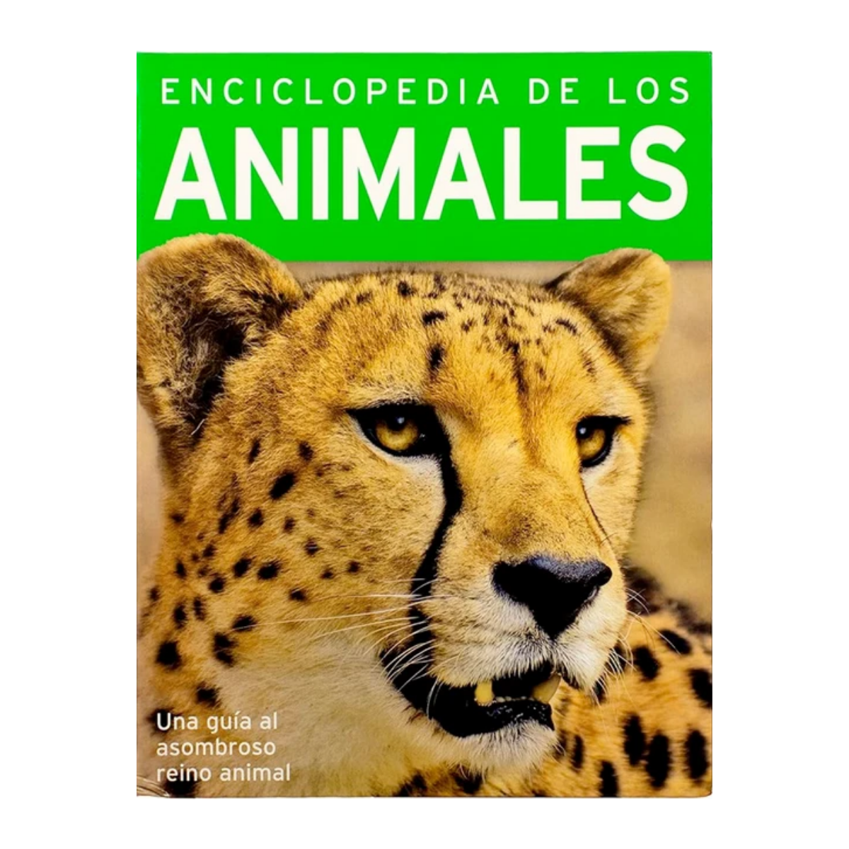 Enciclopedia de los animales