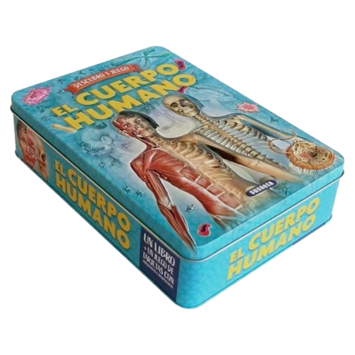 Juego y  Descubro - El cuerpo humano
