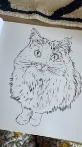 Libro para colorear: Gatos - Cata Fuenzalida.