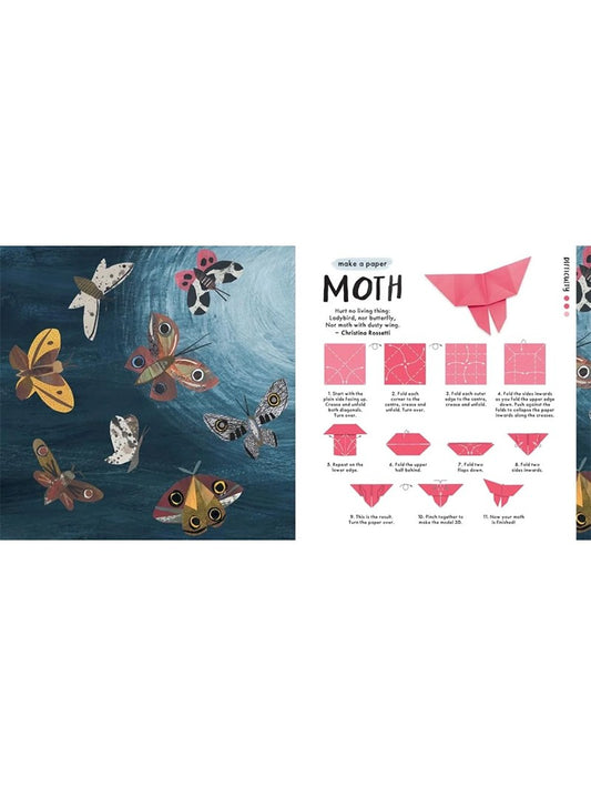 Libro de Origami de la Naturaleza