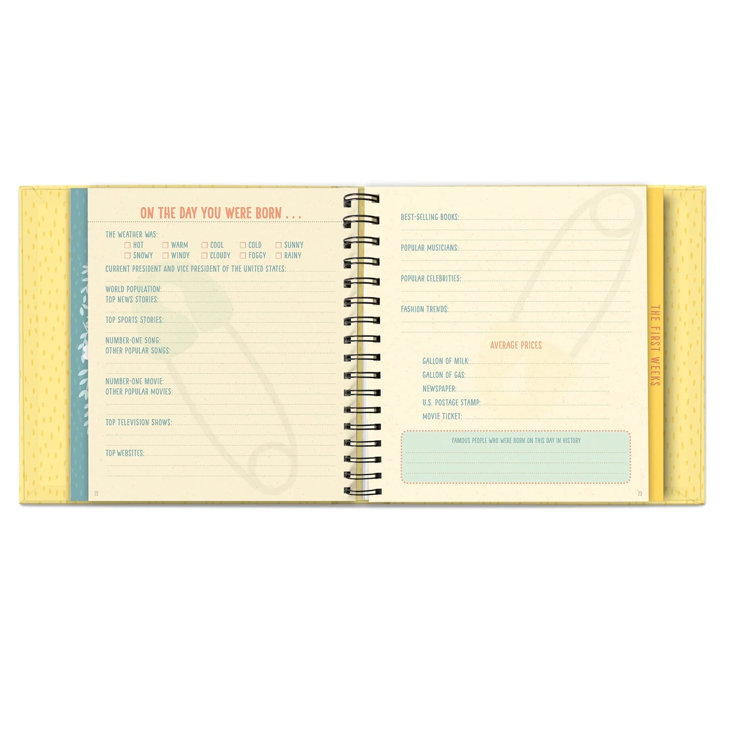 Libro Bebé Bundle of Joy